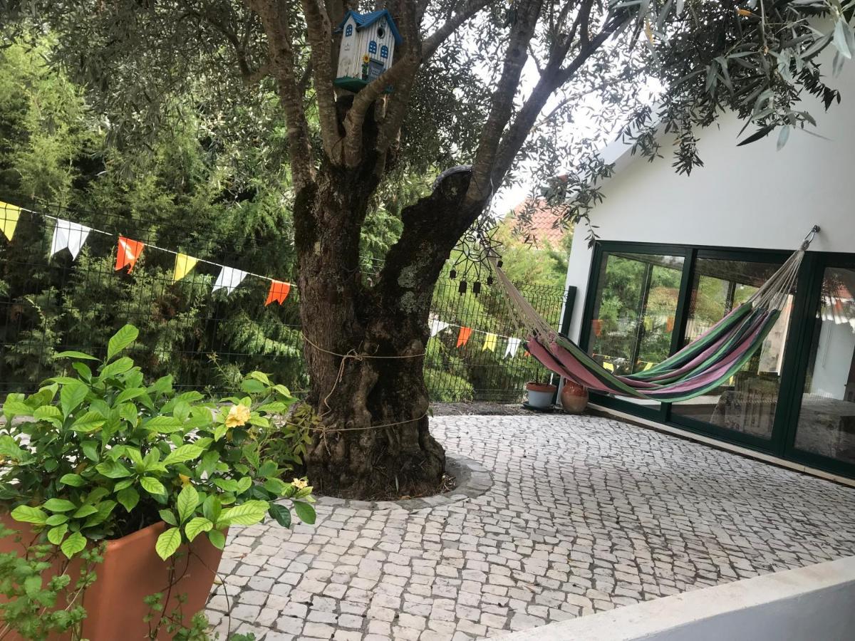 Casa Do Arco Villa Abiul Dış mekan fotoğraf